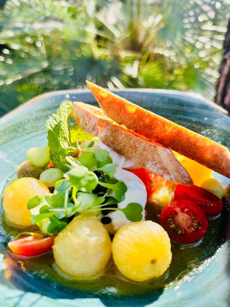 Tomato and burrata salad with garden herbs and toasted bread