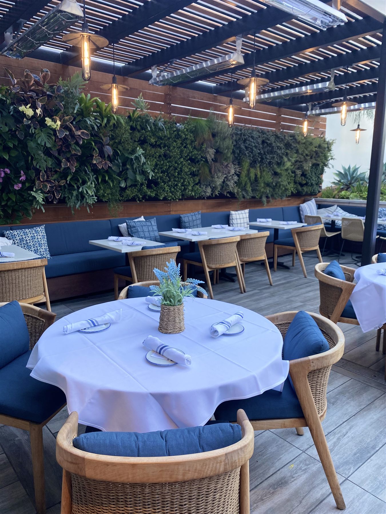LOCAL Montecito's patio at twilight